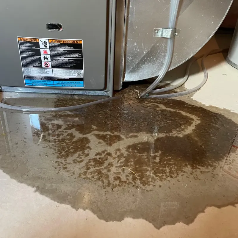 Appliance Leak Cleanup in Odenville, AL