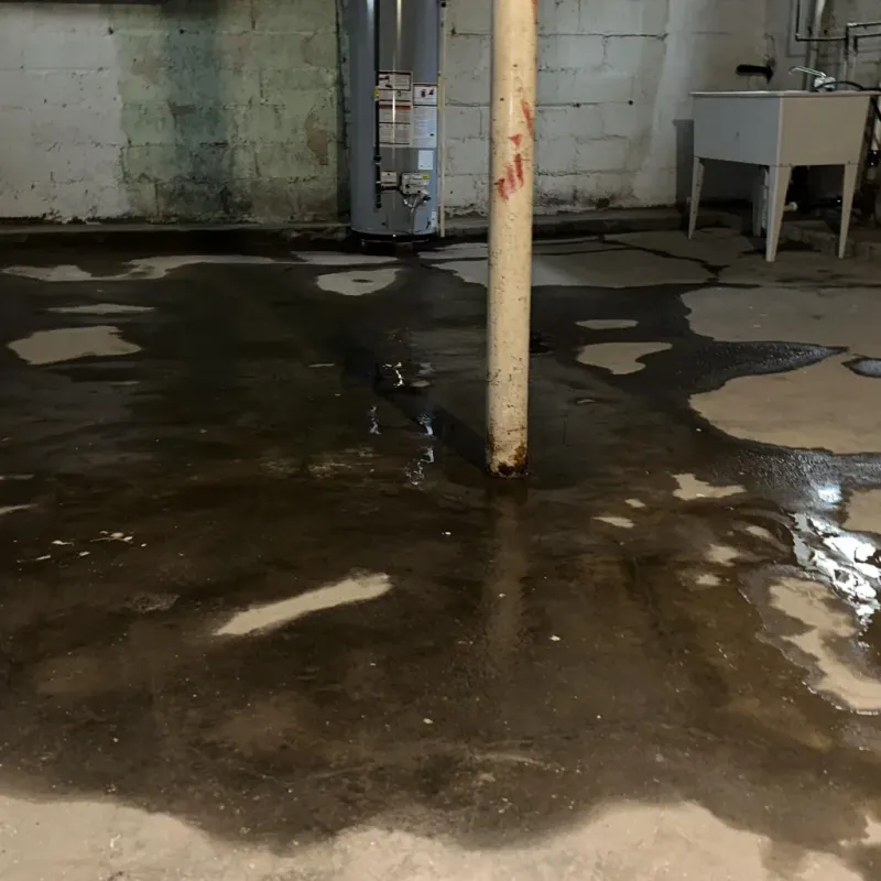 Emergency Water Extraction And Removal in Odenville, AL